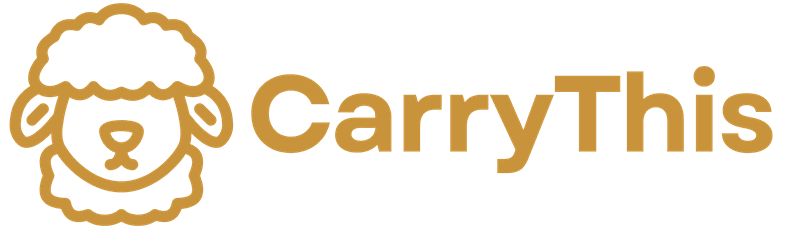 CarryThis
